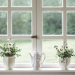 White, window, nature — Protect your real estate by learning Louisiana squatters rights