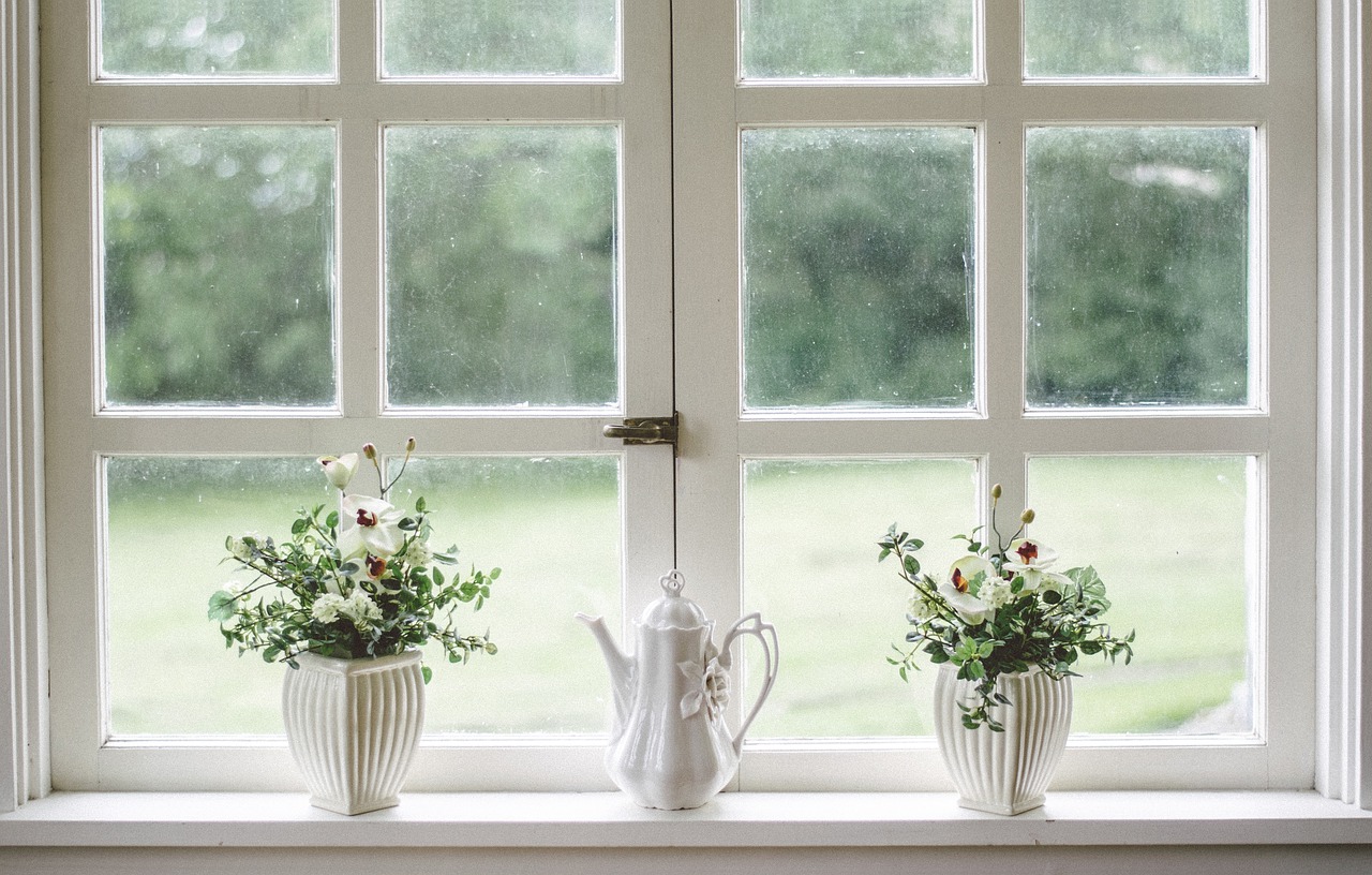 White, window, nature — Protect your real estate by learning Louisiana squatters rights